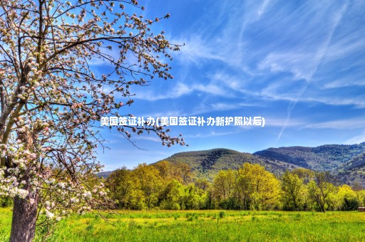 美國簽證補辦(美國簽證補辦新護照以后)