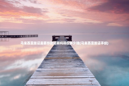 馬來(lái)西亞簽證需要存款證明嗎現(xiàn)在多少錢(馬來(lái)西亞簽證手續(xù))