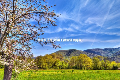 管道簽證單(管道工程簽證單內容)