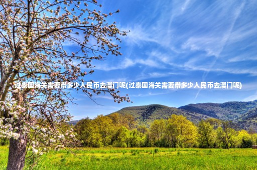 過泰國海關(guān)需要帶多少人民幣去澳門呢(過泰國海關(guān)需要帶多少人民幣去澳門呢)