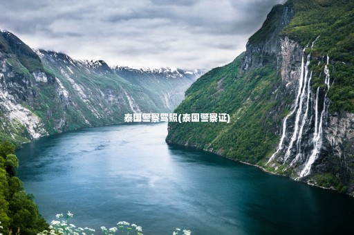 泰國(guó)警察駕照(泰國(guó)警察證)