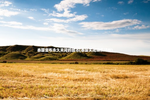 泰國(guó)宣布永久關(guān)閉的城市(泰國(guó)關(guān)閉娛樂(lè)場(chǎng)所)