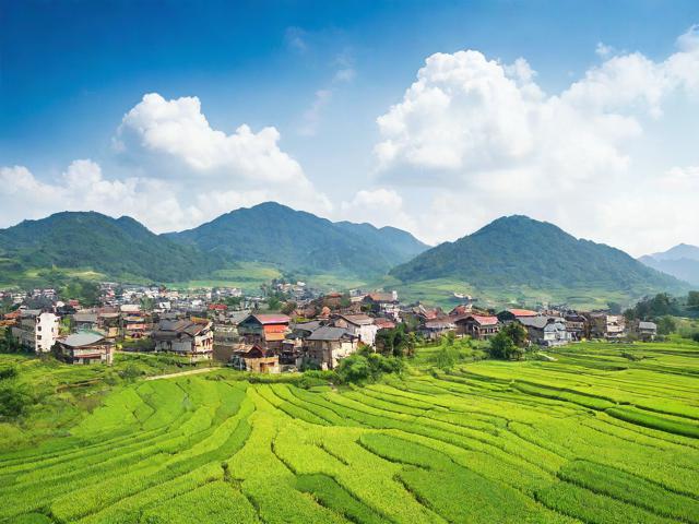 移民弋陽