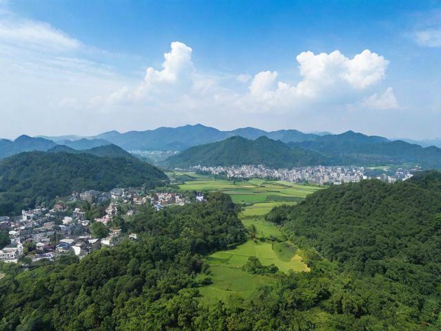 玉林移民局(玉林市移民局)