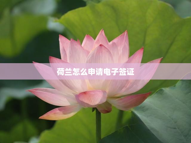 荷蘭電子簽證申請全方位指南，流程解析、申請條件及關(guān)鍵提示一網(wǎng)打盡