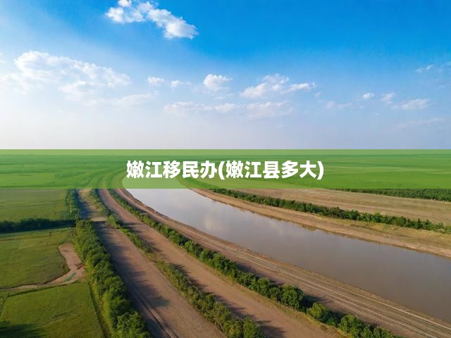 嫩江移民辦(嫩江縣多大)