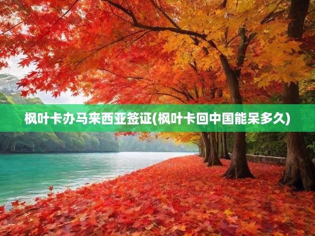 馬來(lái)西亞簽證攻略，楓葉卡辦理全解析，回國(guó)逗留期限一網(wǎng)打盡