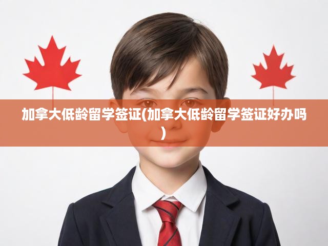 加拿大低齡留學(xué)簽證全攻略，辦理流程、難點(diǎn)解析及必備條件揭秘