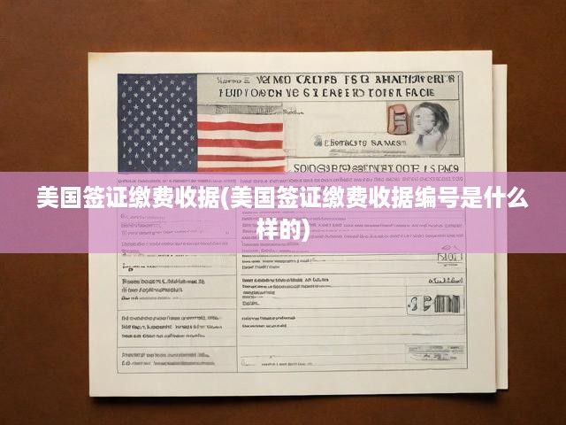 美國簽證繳費(fèi)收據(jù)(美國簽證繳費(fèi)收據(jù)編號是什么樣的)