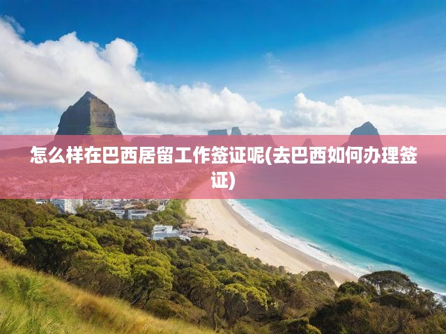 巴西居留工作簽證辦理全攻略，一站式指南+實用建議揭秘