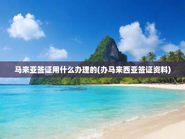 馬來(lái)亞簽證用什么辦理的(辦馬來(lái)西亞簽證資料)