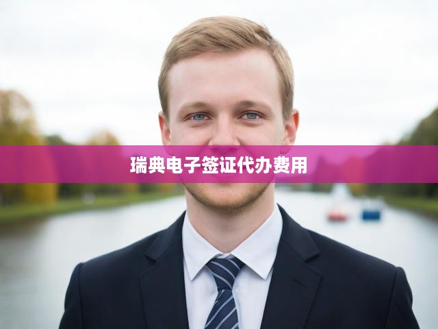 瑞典電子簽證辦理費用全解析，最新收費標準與便捷流程一覽