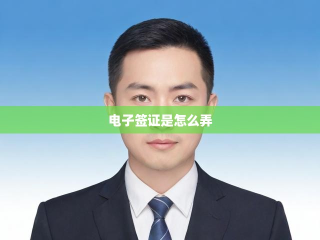 電子簽證申請(qǐng)全攻略，一站式流程解析及步驟詳解