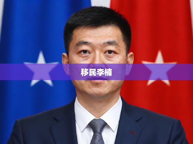 移民李楠，跨文化適應(yīng)與身份重塑的跨國旅程探索