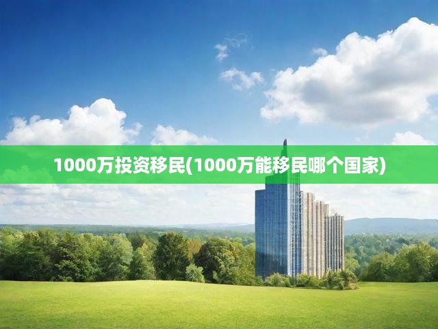 1000萬投資移民(1000萬能移民哪個國家)