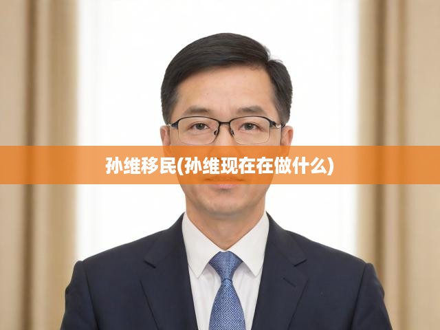孫維移民(孫維現(xiàn)在在做什么)