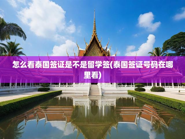 泰國簽證種類全解析，留學簽證識別與簽證號碼查詢攻略