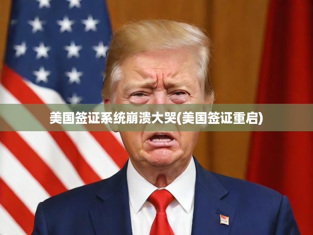 美國(guó)簽證系統(tǒng)崩潰重啟，情緒風(fēng)暴中的挑戰(zhàn)與應(yīng)對(duì)策略解析